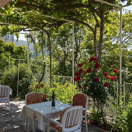 Begovi - One Bedroom Bronx Apartment *
